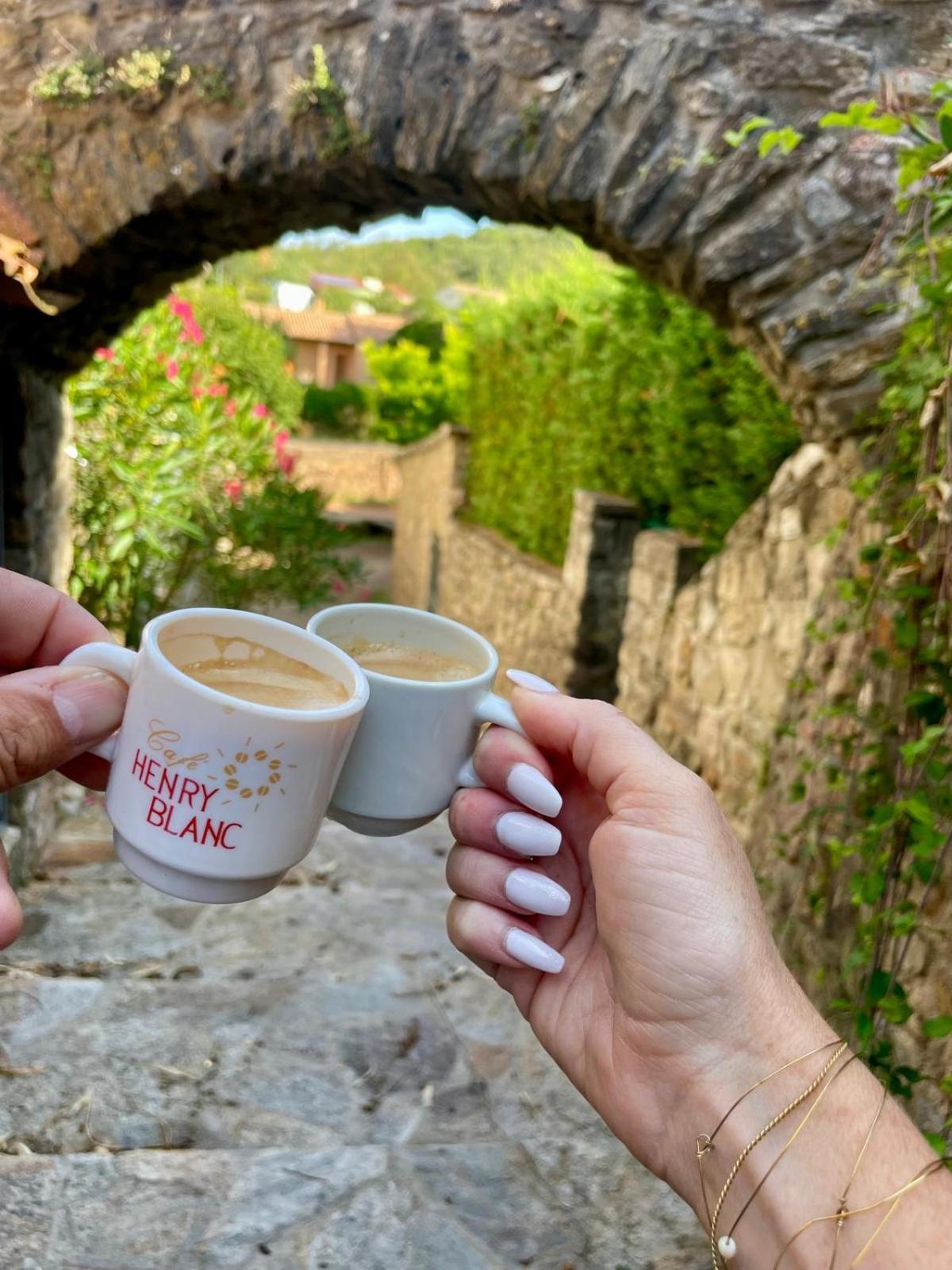 Moulin Gaillard Hotel Bedarieux Ngoại thất bức ảnh